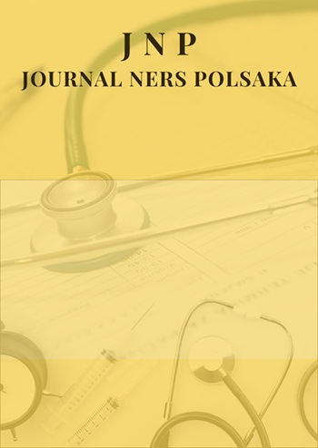 View Vol. 1 No. 1 (2025): Journal Nursing Education